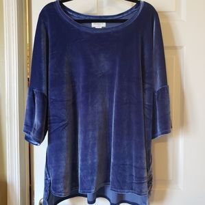 Liz Claiborne  velour top in blue